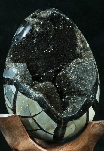 Septarian Dragon Egg Geode - Black Calcite Crystals #33983